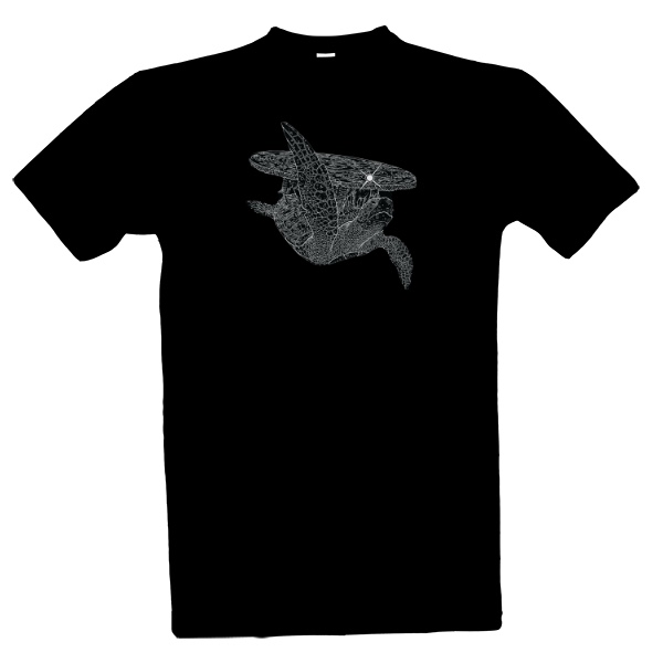 Zeměplocha - A'tuin