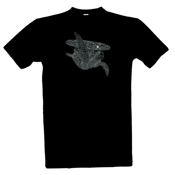 Zeměplocha - A\'tuin